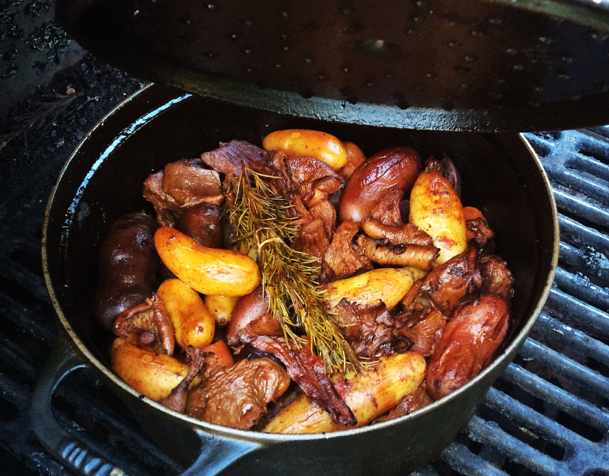 beef-stew-on-the-grill